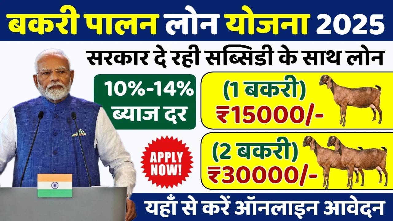 Bakri Palan Business Loan Yojana 2025